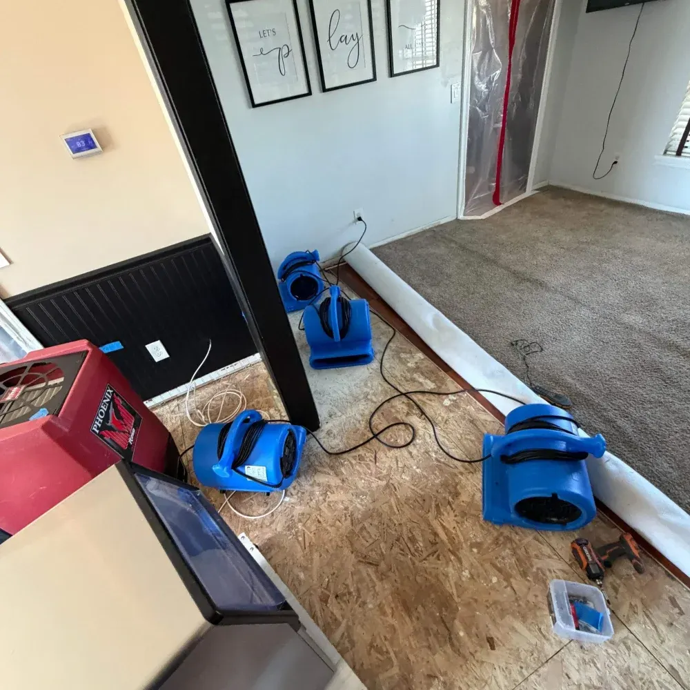 IICRC certified drying setup in Wayne County, IN